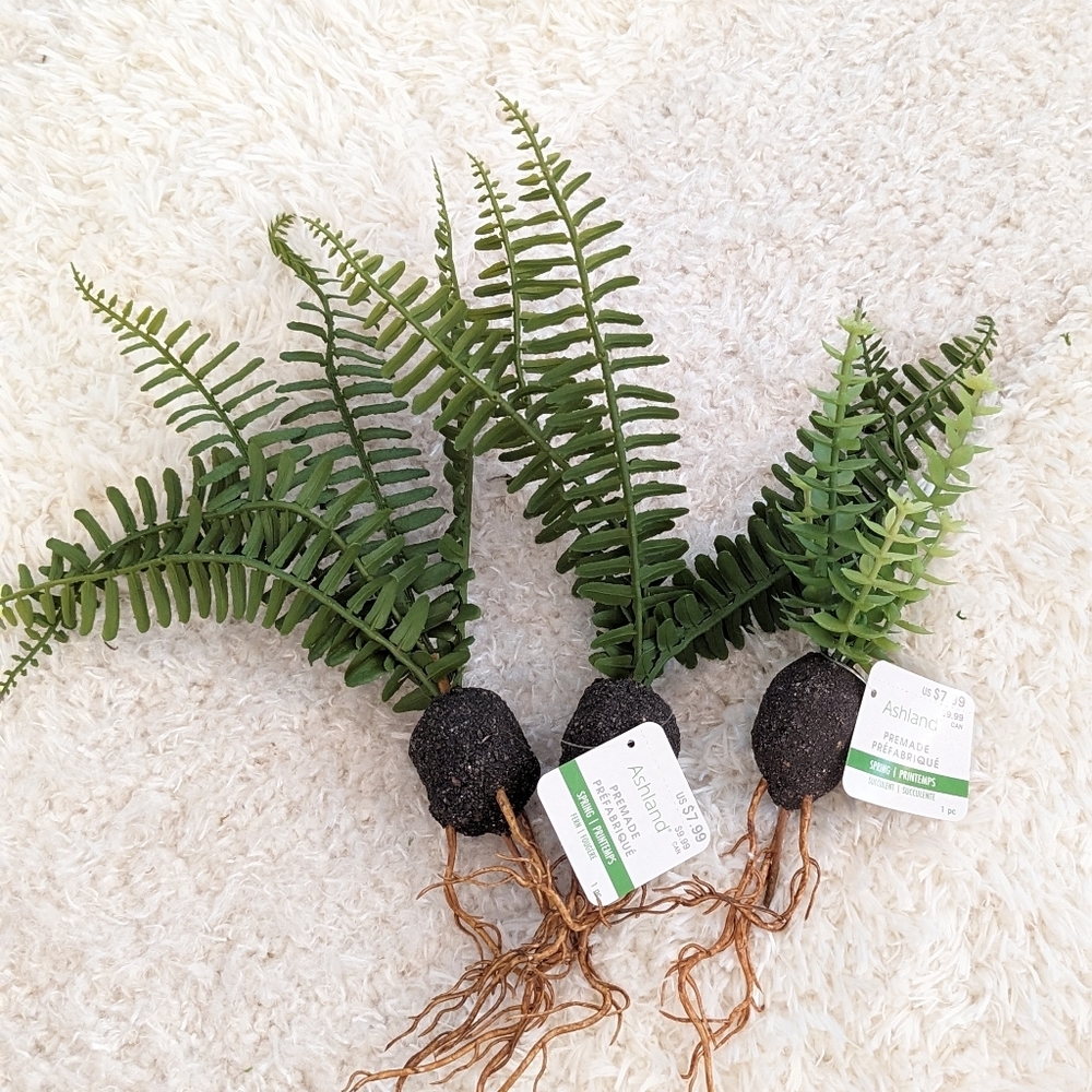 Ashland Premade Succulent and Ferns 3 Picks NWT